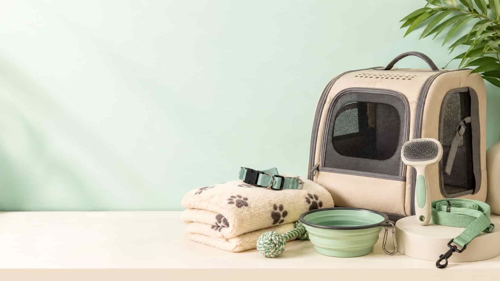 Pet Accessories 06